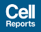 Cellreportslogo
